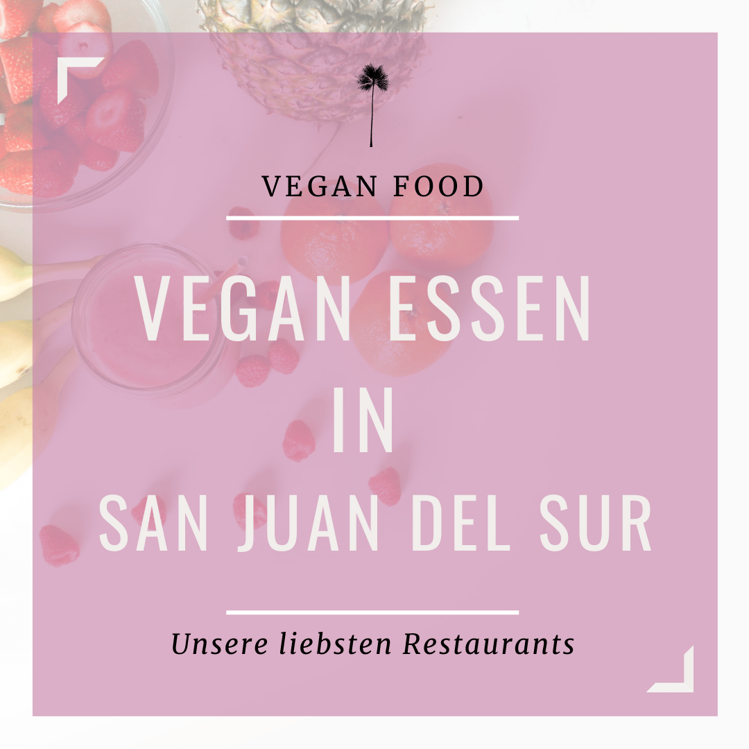 Vegan Essen in San Juan Del Sur